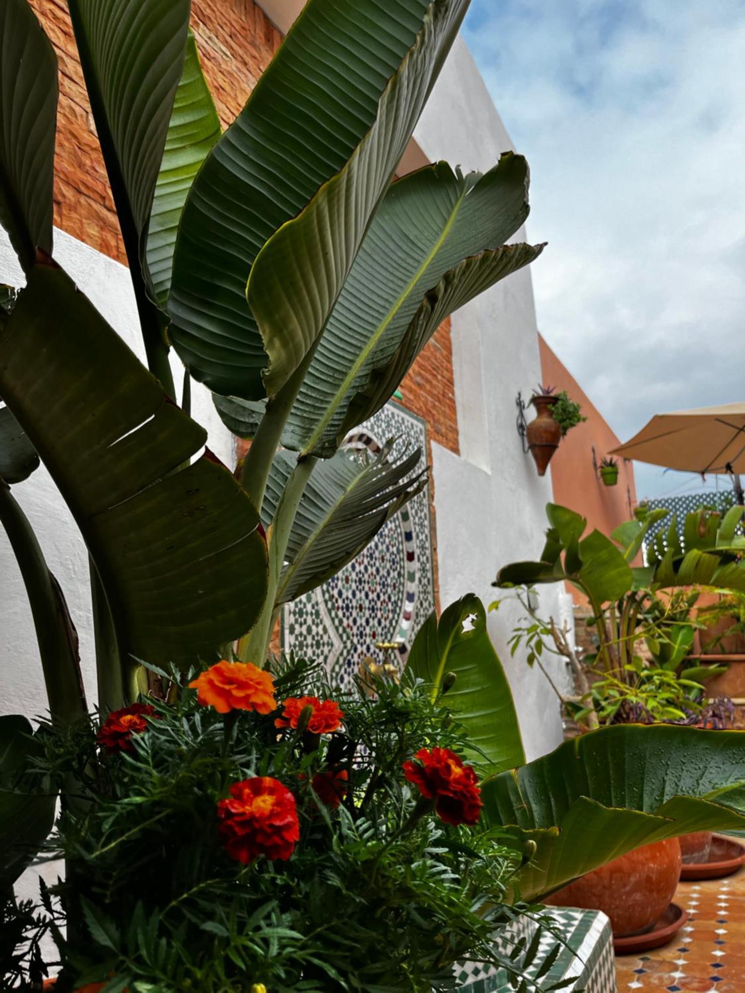 Hotel Casa Indigo Rabat Exterior foto